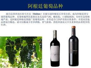 韩国酒介绍,传统与现代交融的美酒之旅