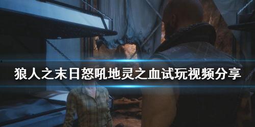 狼人在线观看视频,揭秘神秘夜晚的生存游戏