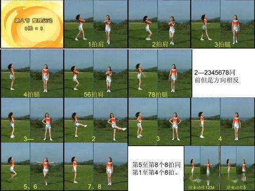 七彩阳光教学视频,探索多元教育新篇章