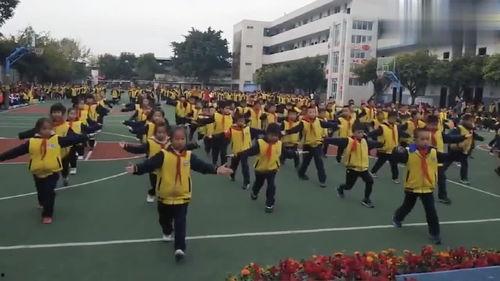 七彩阳光教学视频,探索多元教育新篇章