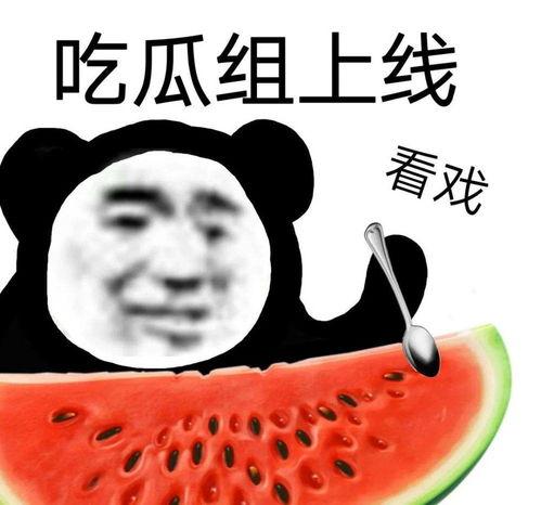 吃瓜网免费吃瓜黑料视频,免费畅享黑料视频，带你领略网络世界的另一面