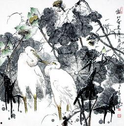 泉 作品在线观看,探寻自然之美，在线欣赏生态奇观