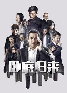 卧底归来在线观看免费版,揭秘卧底生涯，免费版在线观看