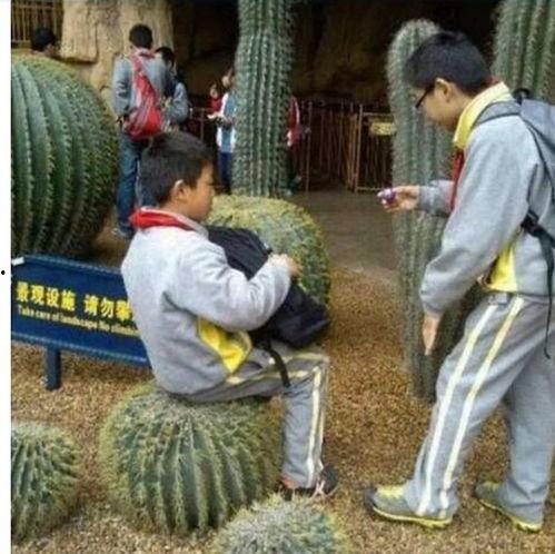 军人打光屁股图片大全,打光屁股图片大全背后的纪律与挑战