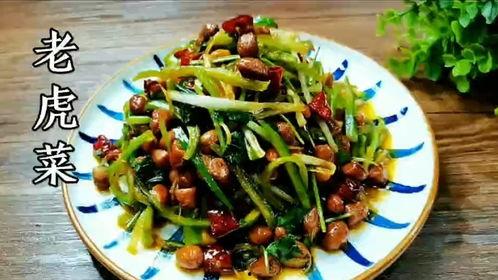 今日吃瓜91老虎菜,揭秘老虎菜背后的故事与魅力