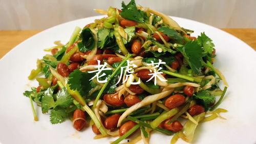 今日吃瓜91老虎菜,揭秘老虎菜背后的故事与魅力