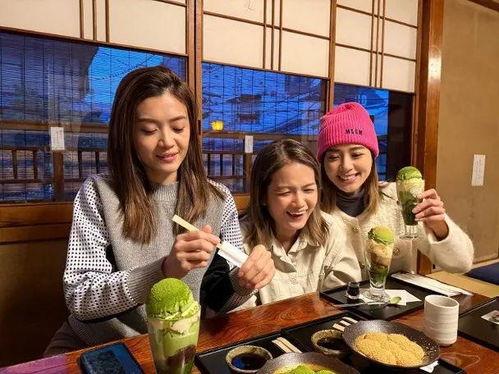 tvb 日本 旅游,TVB带你领略日本旅游风情