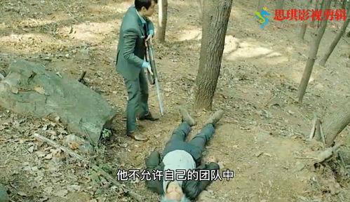 老人公园野战图片大全,趣味盎然的欢乐时光全景回顾